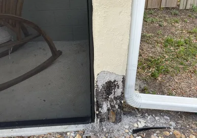 Water damage exposed at a wall corner, cut back to bare lath